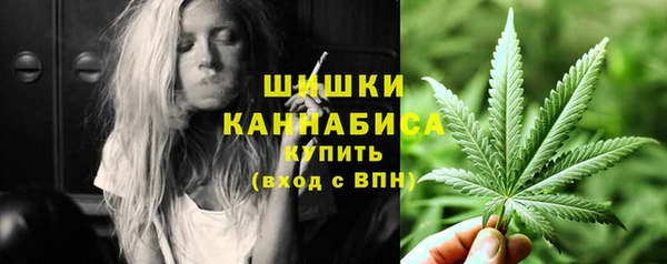 ECSTASY Белокуриха