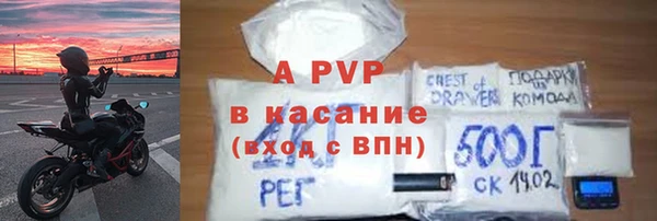 ECSTASY Белокуриха