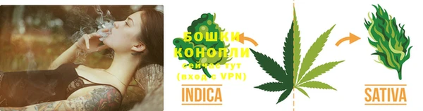 стафф Белоозёрский