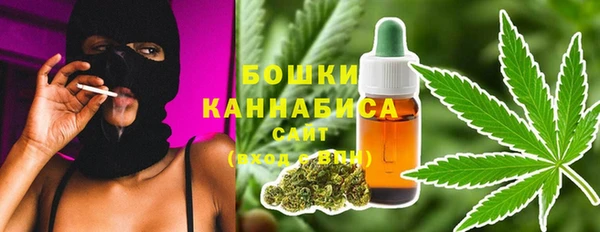 ECSTASY Белокуриха