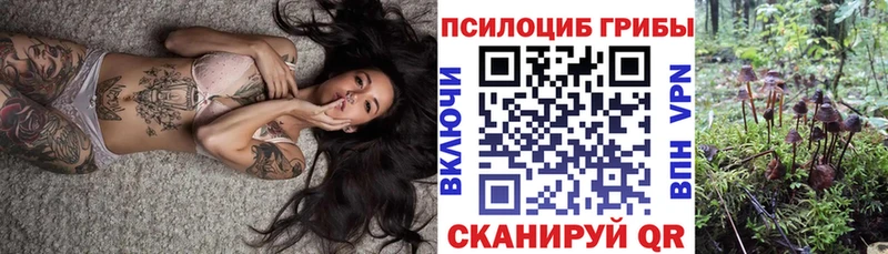 кракен ТОР  Кострома  Галлюциногенные грибы Psilocybine cubensis 